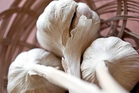 Garlic Stock Photos