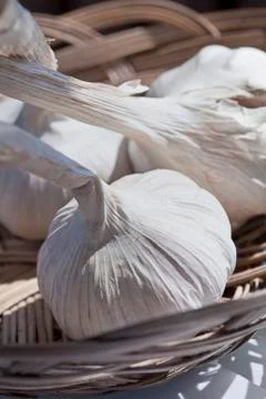 Garlic Stock Photos
