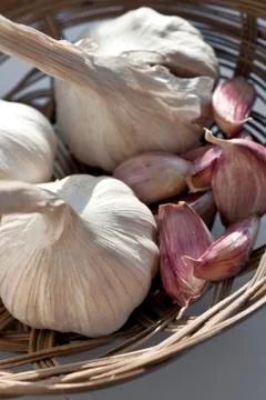 Garlic Stock-Fotos