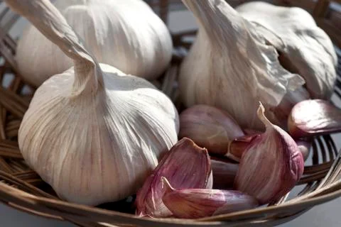 Garlic Stock-Fotos