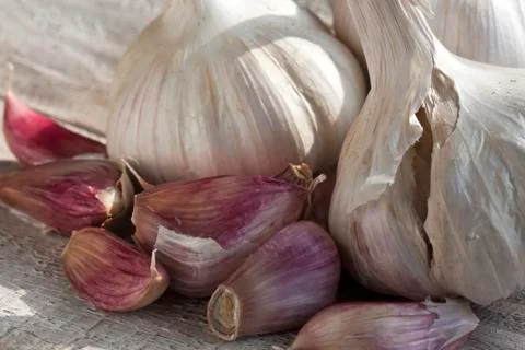 Garlic Stock-Fotos