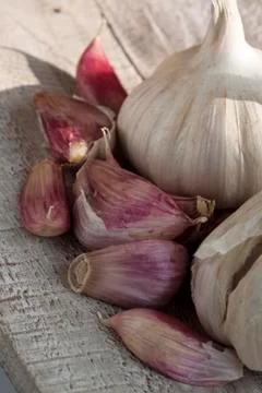 Garlic Stock Photos