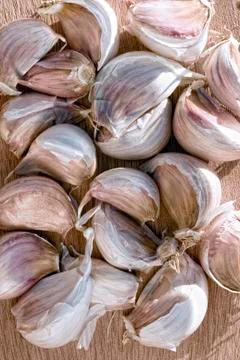 Garlic Foto stock
