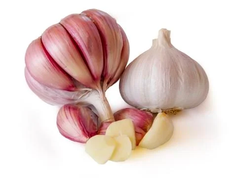 Garlic Foto stock