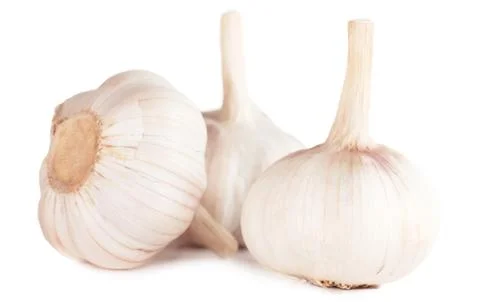 Garlic Stock Photos