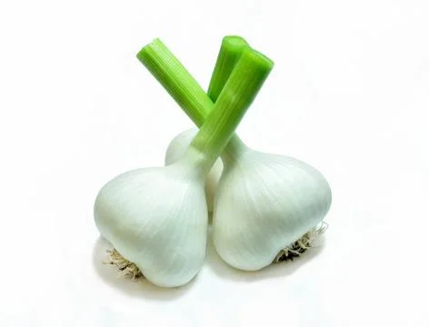 Garlic Stock Photos