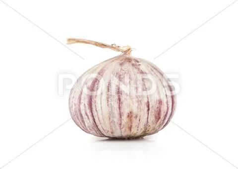 Garlic Stock Photos