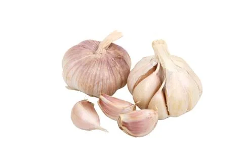Garlic 库存照片