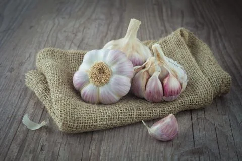 Garlic Stock Photos