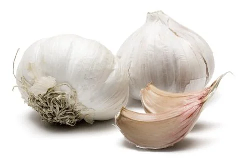 Garlic Foto stock