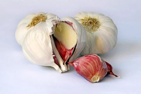 Garlic Stock Photos