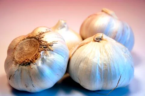 Garlic Stock Photos