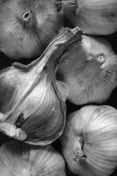 Garlic Stock Photos