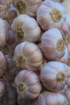 Garlic Foto stock