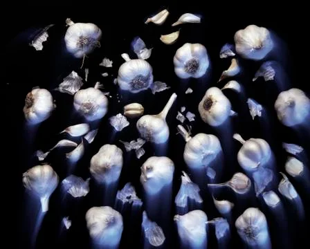 Garlic . Stock Photos