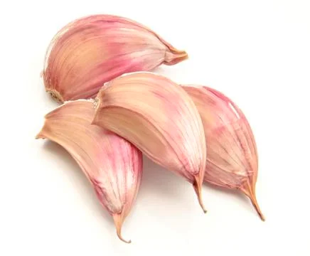 Garlic Stock Photos