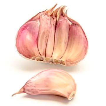 Garlic Stock Photos