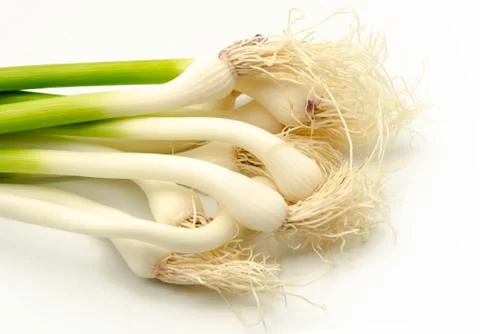 Garlic Stock Photos