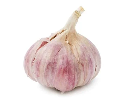 Garlic Foto stock