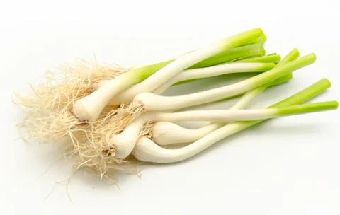Garlic Stock Photos