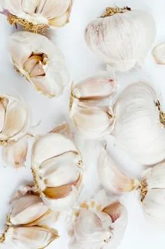 Garlic Stock Photos