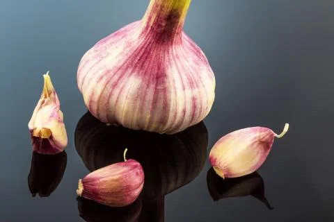 Garlic 스톡 사진