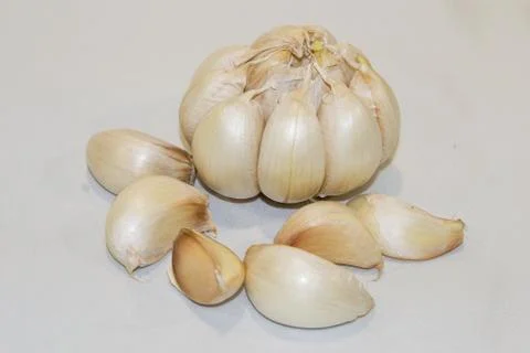 Garlic Stock Photos