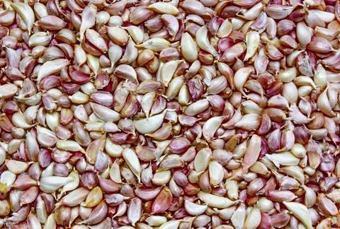 Garlic Stock Photos