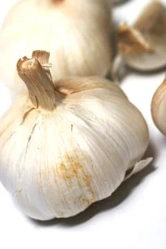 Garlic Stock Photos