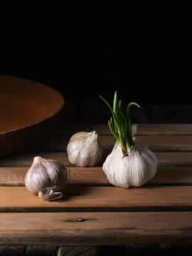 Garlic Stock Photos