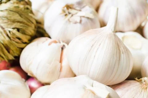 Garlic Stock Photos