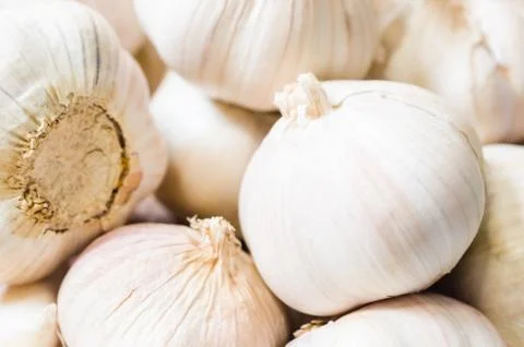 Garlic Stock Photos