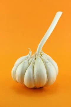 Garlic Stock Photos