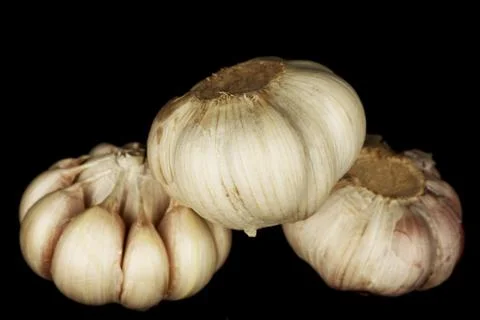 Garlic Stock Photos