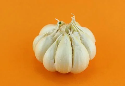 Garlic Stock Photos