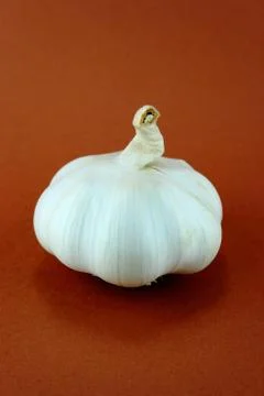 Garlic Stock Photos