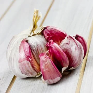 Garlic Stock Photos