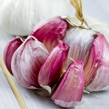 Garlic Stock Photos