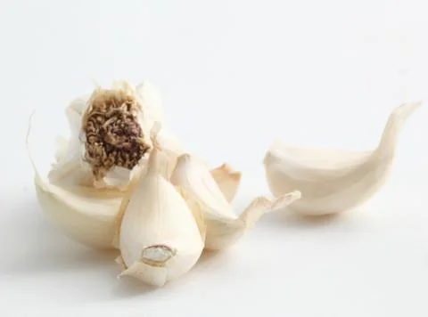 Garlic Stock Photos