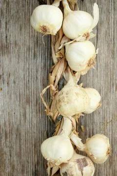 Garlic Stock Photos