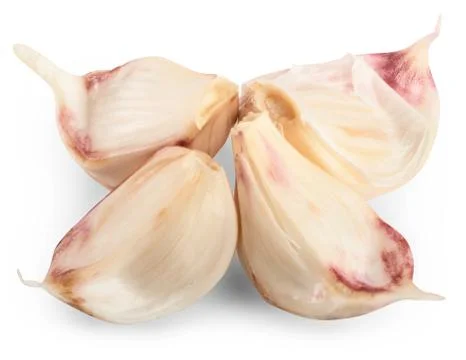 Garlic Stock Photos
