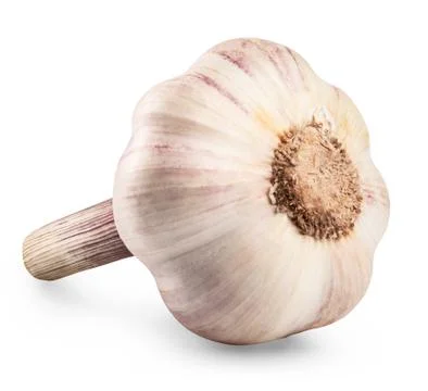 Garlic Stock Photos