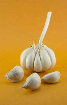 Garlic Stock Photos