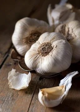 Garlic Foto stock
