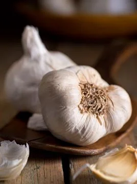Garlic Stock Photos