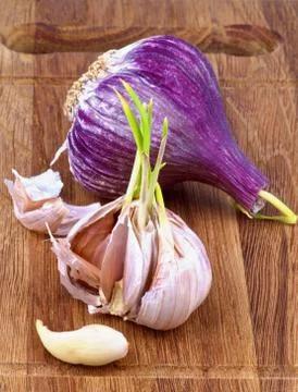 Garlic Stock Photos