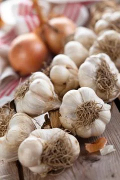 Garlic. Stock Photos