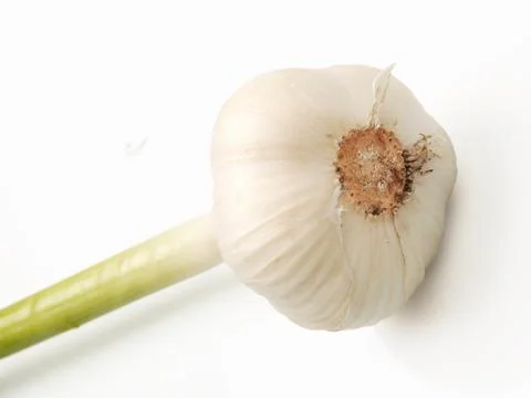 Garlic Stock Photos