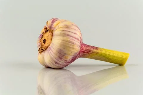 Garlic Stock Photos