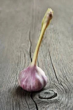 Garlic Foto stock